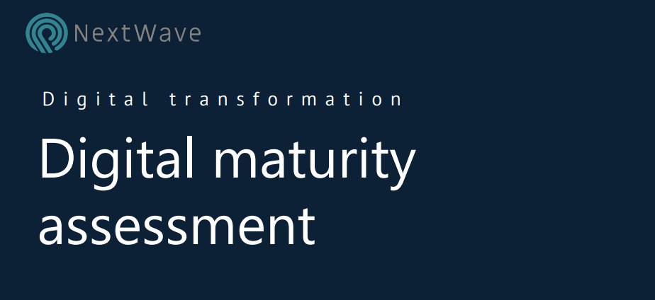 Digital Maturity Assessment logo